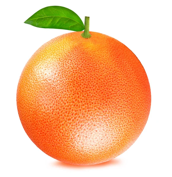 Грейпфрут изолирован на белом — стоковое фото