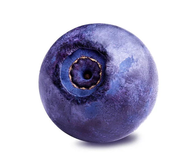 Blueberry bilberry terisolasi di atas putih — Stok Foto