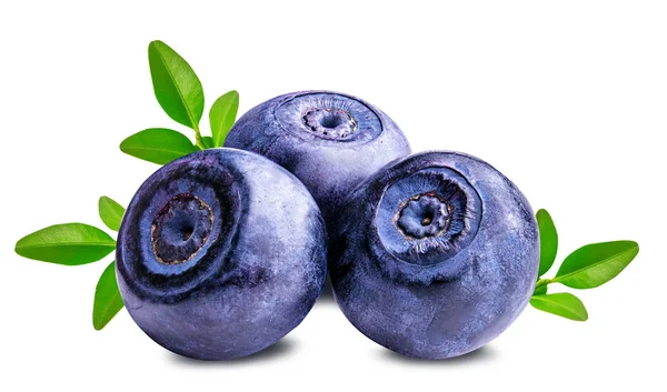 Bilberry blueberries isolated on white — Stock Photo, Image