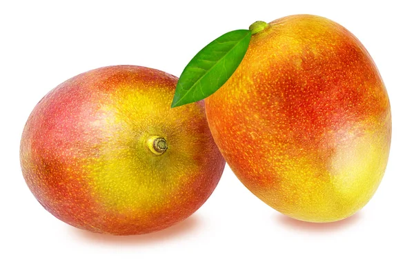 Frutto di mango isolato su bianco — Foto Stock