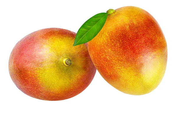 Frutto di mango isolato su bianco — Foto Stock