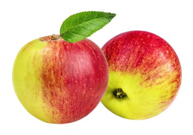 Elma beyaz üzerine izole 
