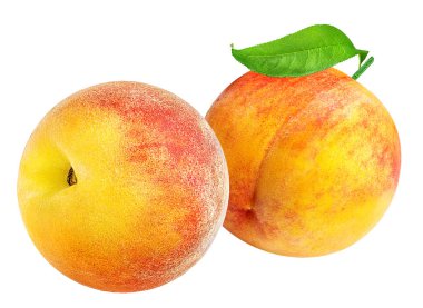 Şeftali beyazda izole edilmiş