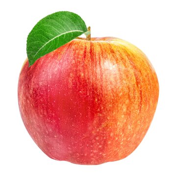 Elma beyaz üzerine izole 