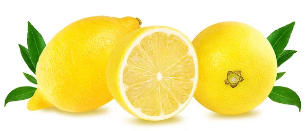 Citron isolé sur blanc — Photo