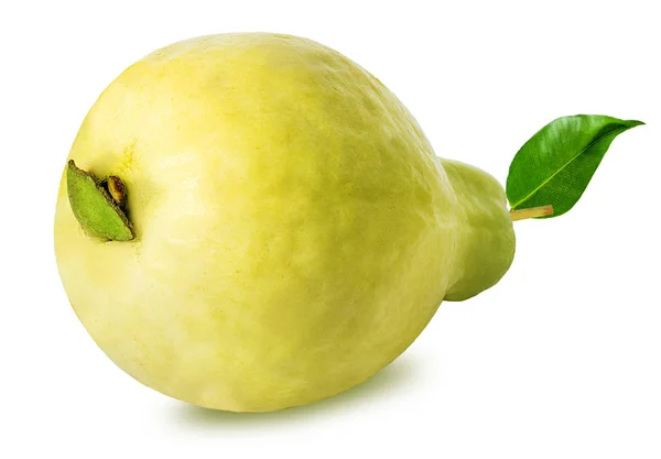 Guava izolált fehér — Stock Fotó