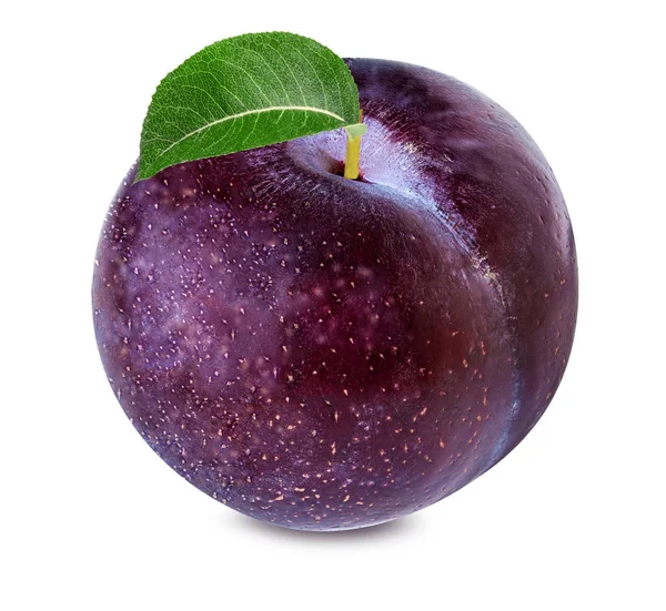 Plum pada warna putih — Stok Foto