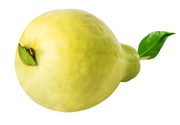 Guava izolált fehér — Stock Fotó