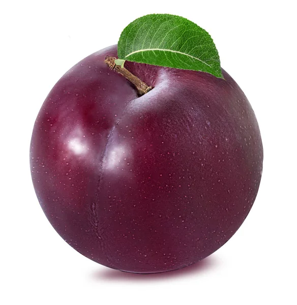 Plum on a white — Stock Photo, Image