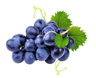 grapes isolated on the white 