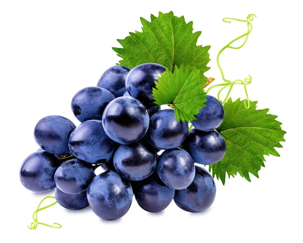 grapes isolated on the white 