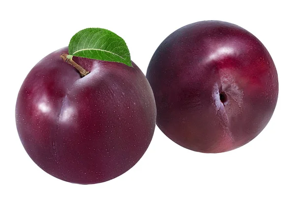 Plum pada warna putih — Stok Foto