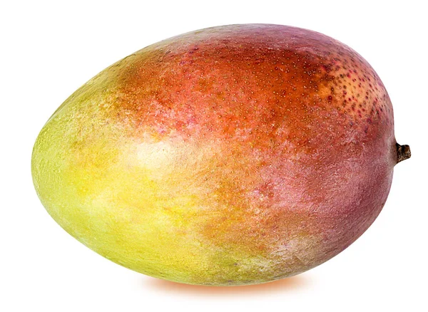 Mango frukt isolerad på vitt — Stockfoto