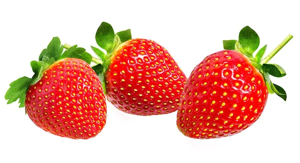 Erdbeere auf Weiß Stockbild