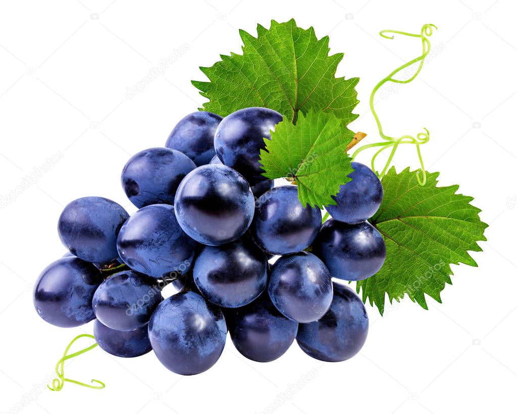 grapes isolated on the white 