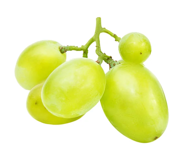 Uvas aisladas sobre el blanco — Foto de Stock