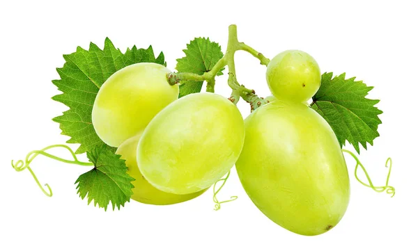 Uvas aisladas sobre el blanco — Foto de Stock