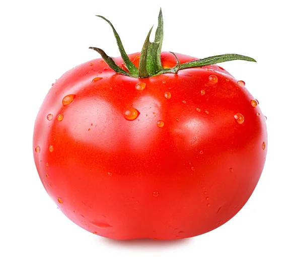 Tomate isoliert auf weiß — Stockfoto