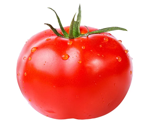 Tomate isoliert auf weiß — Stockfoto