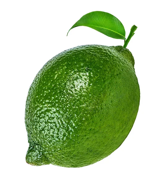 Lime isolated on white — Stock Photo, Image