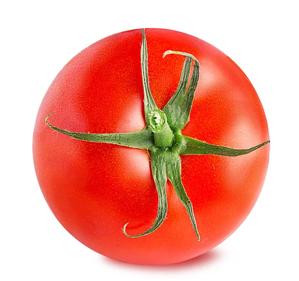 白に隔離されたトマト — ストック写真