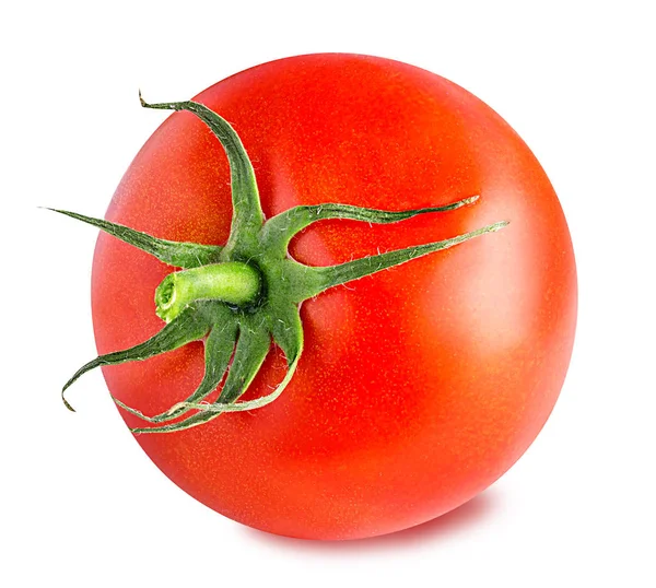 Tomate isoliert auf weiß — Stockfoto