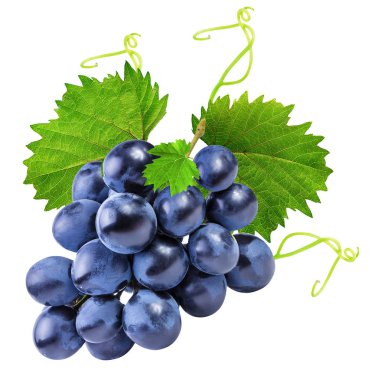grapes isolated on the white