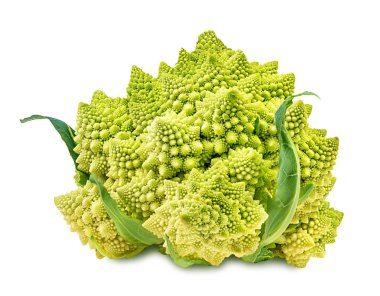 Romanesco brokoli veya beyaz üzerine Roma karnabahar 