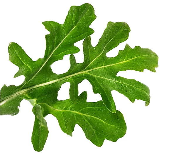 Rucola isolerad på vit — Stockfoto