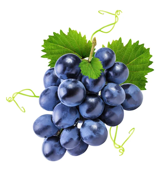 grapes isolated on the white