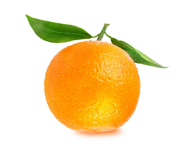 Tangerine ou mandarine isolée sur blanc — Photo