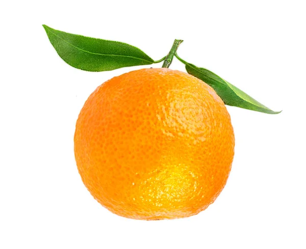 Tangerine of mandarin fruit geïsoleerd op wit — Stockfoto