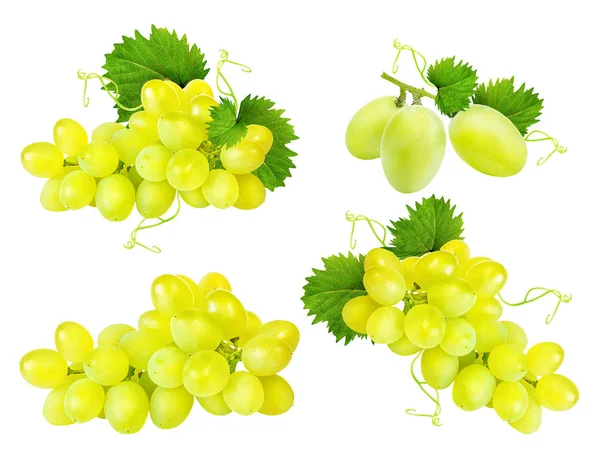 Uvas aisladas sobre el blanco — Foto de Stock