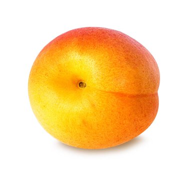 Kayısı beyazda izole edilmiş