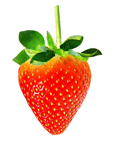 Strawberry on white — Stock Photo, Image