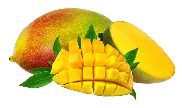 Mangovruchten geïsoleerd op wit — Stockfoto