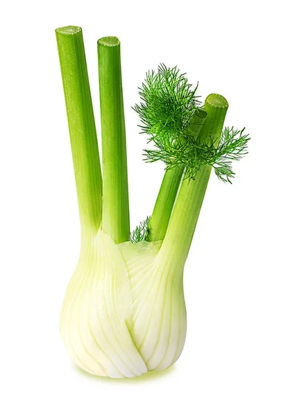 Fresh fennel bulb isolated on white — Stock Photo, Image