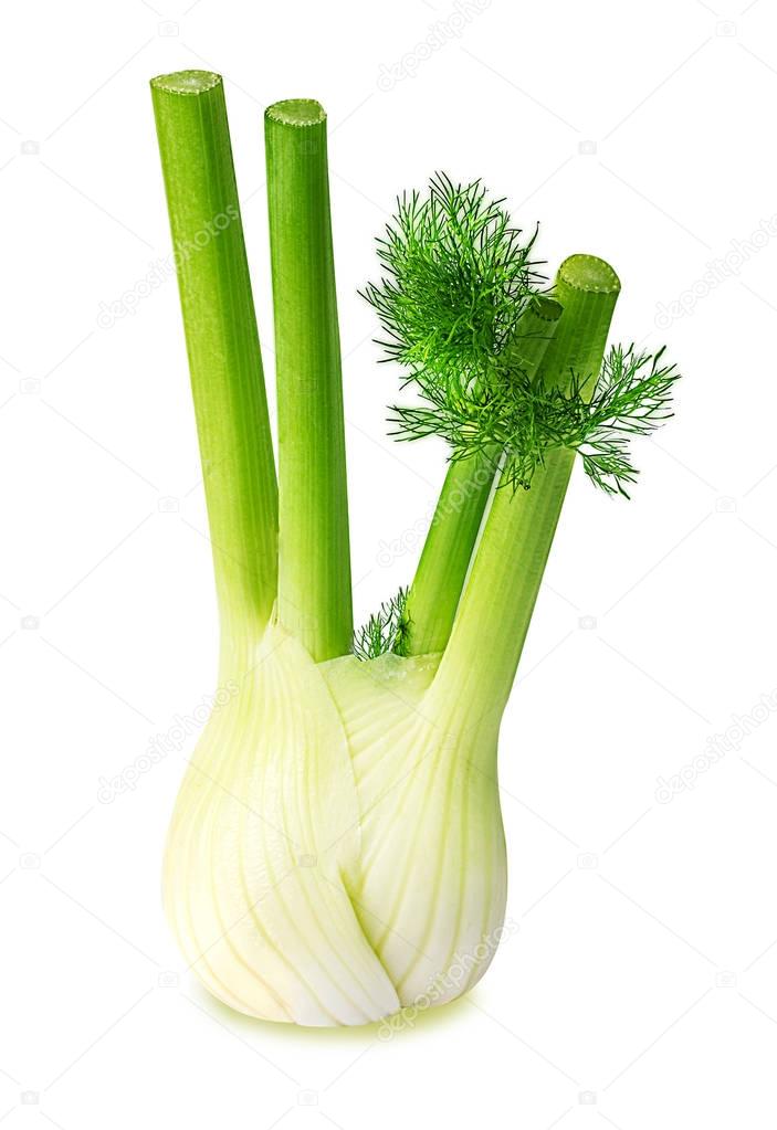 Fresh fennel bulb isolated on white 