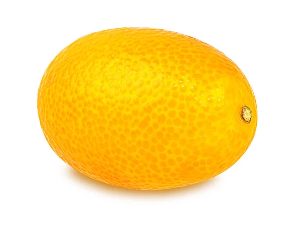 Kumquat geïsoleerd op wit — Stockfoto