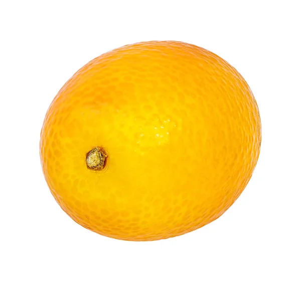 Kumquat isolé sur blanc — Photo