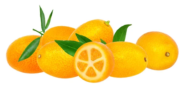 Kumquat isoliert auf weiß — Stockfoto