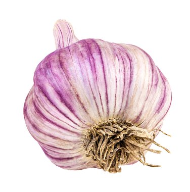 Sarımsak beyaza izole edilmiş 