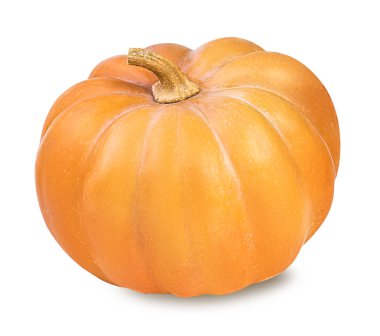 kabak üzerine beyaz izole 