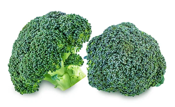 Broccoli isolati su bianco — Foto Stock