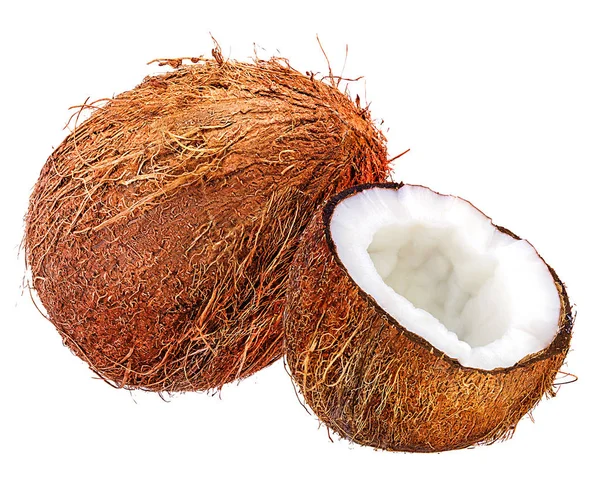 Kokosnoten geïsoleerd op wit — Stockfoto