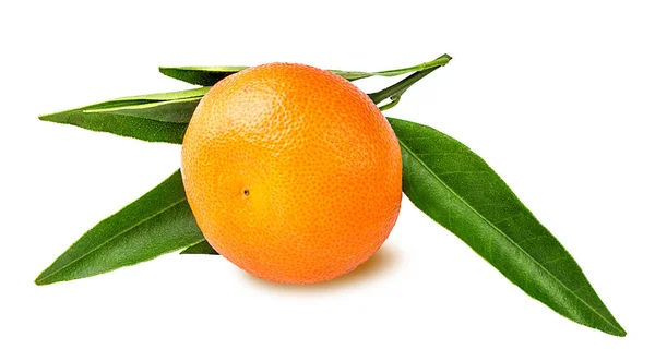 Mandarine oder Mandarine isoliert — Stockfoto