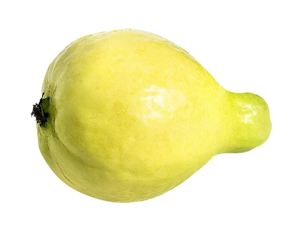 Guava geïsoleerd op wit — Stockfoto