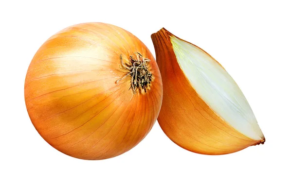 Onions isolated on white — Stock Photo, Image