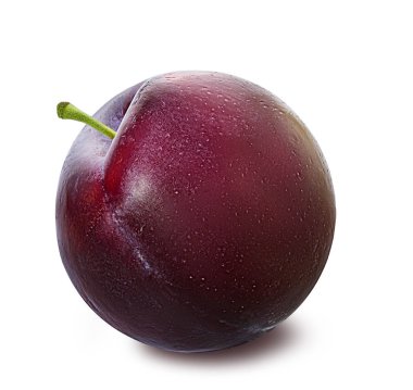plum on a white 