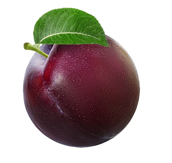 Plum on a white — Stock Photo, Image